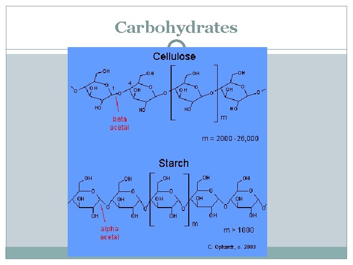 Carbohydrates 