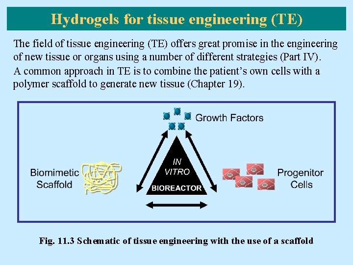 Hydrogels for tissue engineering (TE) The field of tissue engineering (TE) offers great promise