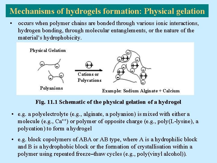 Mechanisms of hydrogels formation: Physical gelation • occurs when polymer chains are bonded through