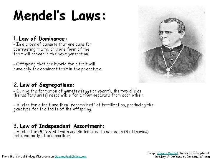 Mendel’s Laws: 1. Law of Dominance: - In a cross of parents that are