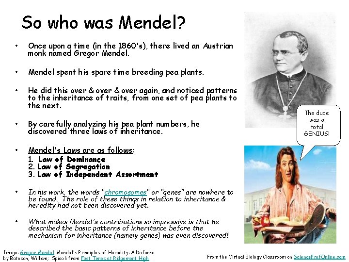 So who was Mendel? • Once upon a time (in the 1860's), there lived