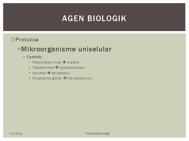 AGEN BIOLOGIK Protozoa § Mikroorganisme uniselular § Contoh: § § 3/2/2021 Plasmodium vivax malaria