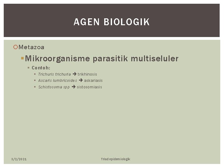 AGEN BIOLOGIK Metazoa § Mikroorganisme parasitik multiseluler § Contoh: § Trichuris trichuria trikhinosis §
