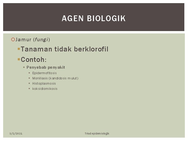 AGEN BIOLOGIK Jamur (fungi) § Tanaman tidak berklorofil § Contoh: § Penyebab penyakit §