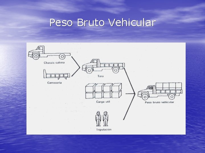 Peso Bruto Vehicular 