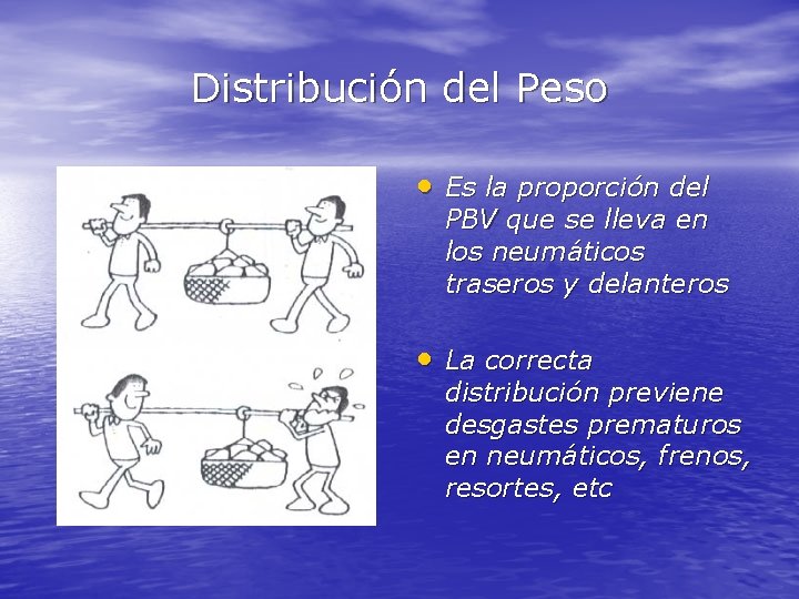 Distribución del Peso • Es la proporción del PBV que se lleva en los