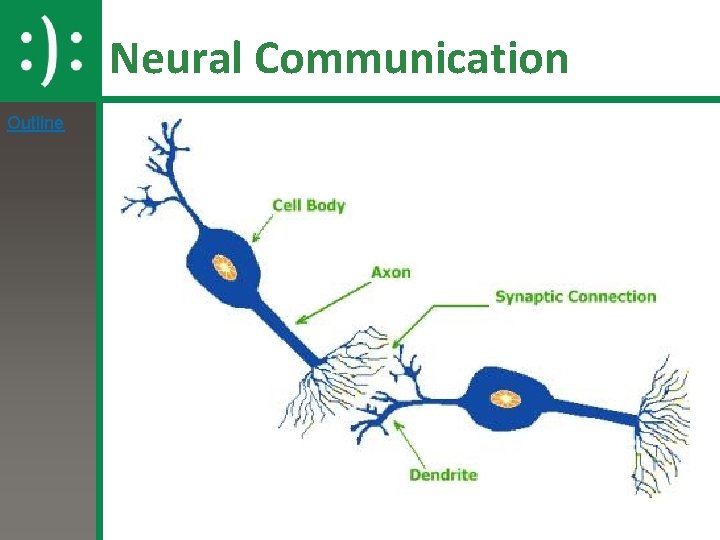 Neural Communication Outline 