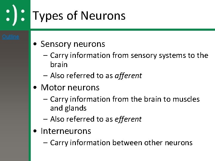 Types of Neurons Outline • Sensory neurons – Carry information from sensory systems to