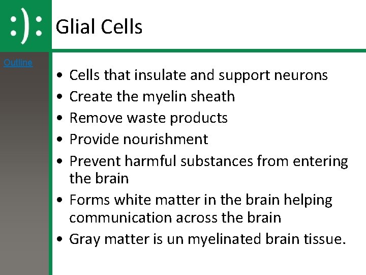 Glial Cells Outline • • • Cells that insulate and support neurons Create the