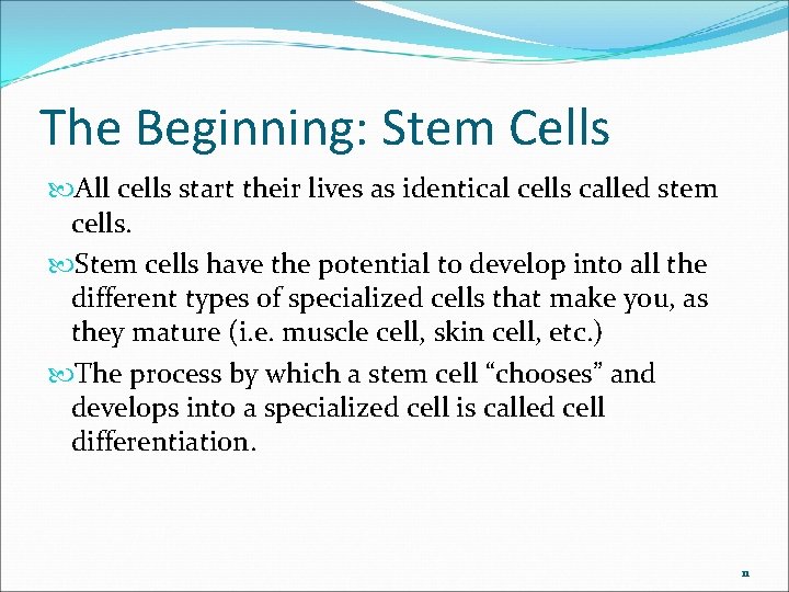 The Beginning: Stem Cells All cells start their lives as identical cells called stem