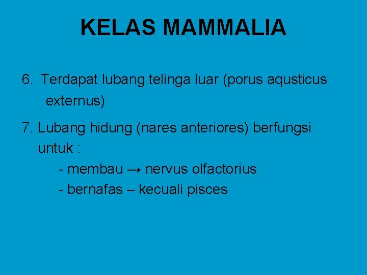 KELAS MAMMALIA 6. Terdapat lubang telinga luar (porus aqusticus externus) 7. Lubang hidung (nares