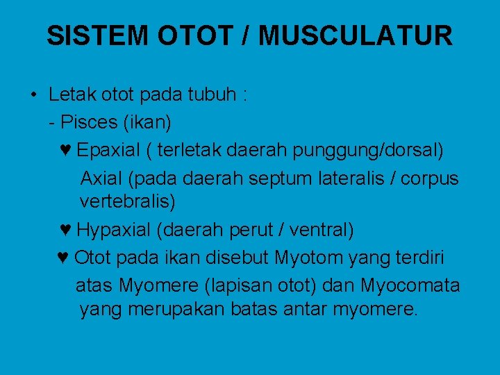 SISTEM OTOT / MUSCULATUR • Letak otot pada tubuh : - Pisces (ikan) ♥