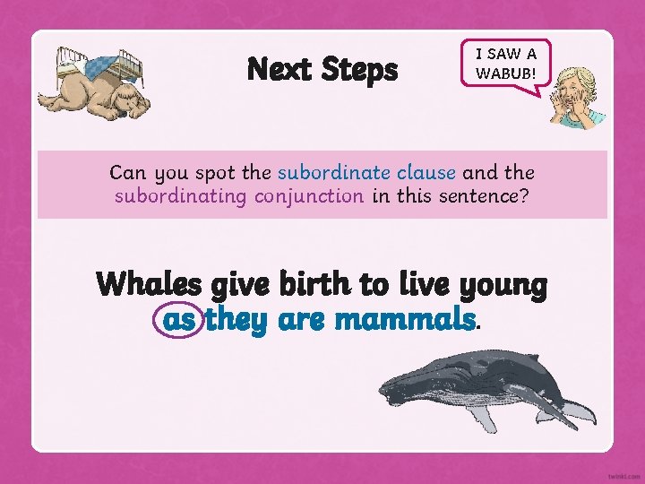 Next Steps I SAW A WABUB! Can you spot the subordinate clause and the