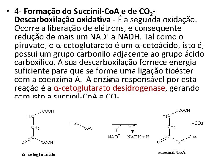  • 4 - Formação do Succinil-Co. A e de CO 2 Descarboxilação oxidativa