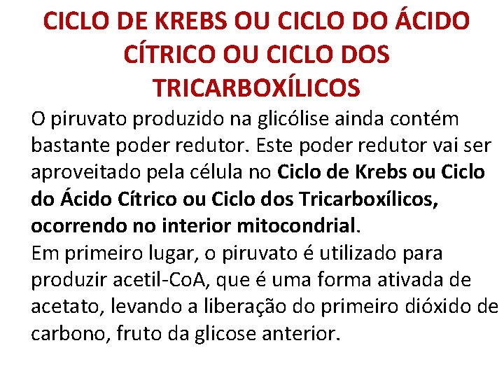 CICLO DE KREBS OU CICLO DO ÁCIDO CÍTRICO OU CICLO DOS TRICARBOXÍLICOS O piruvato