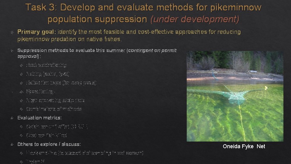 Task 3: Develop and evaluate methods for pikeminnow population suppression (under development) Primary goal:
