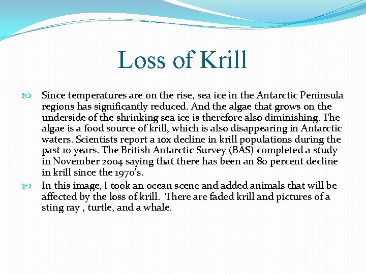 Loss of Krill Since temperatures are on the rise, sea ice in the Antarctic