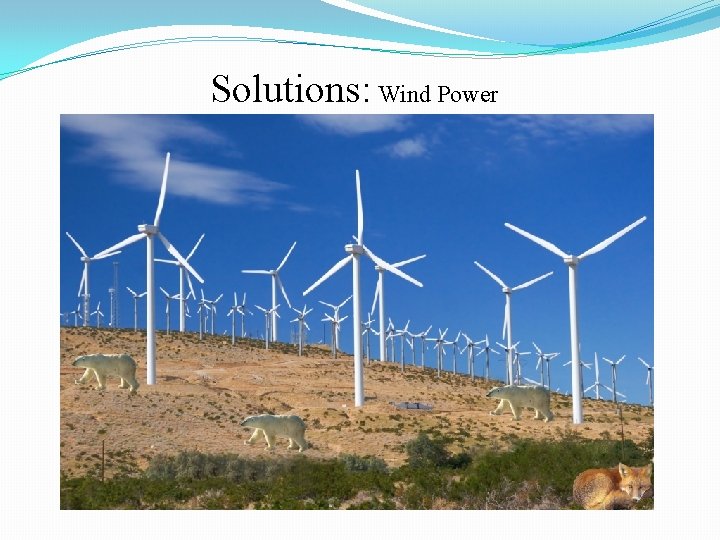 Solutions: Wind Power 