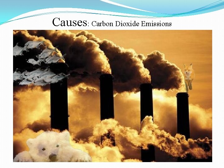 Causes: Carbon Dioxide Emissions 