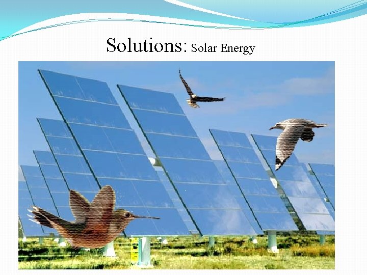 Solutions: Solar Energy 