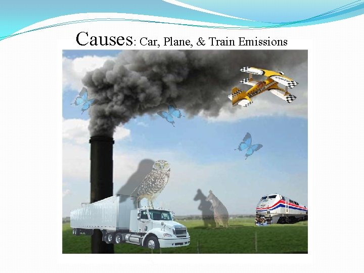Causes: Car, Plane, & Train Emissions 