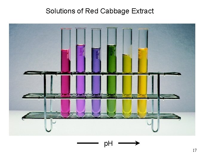 Solutions of Red Cabbage Extract p. H 17 Solutions of Red Cabbage Extract p. H 17