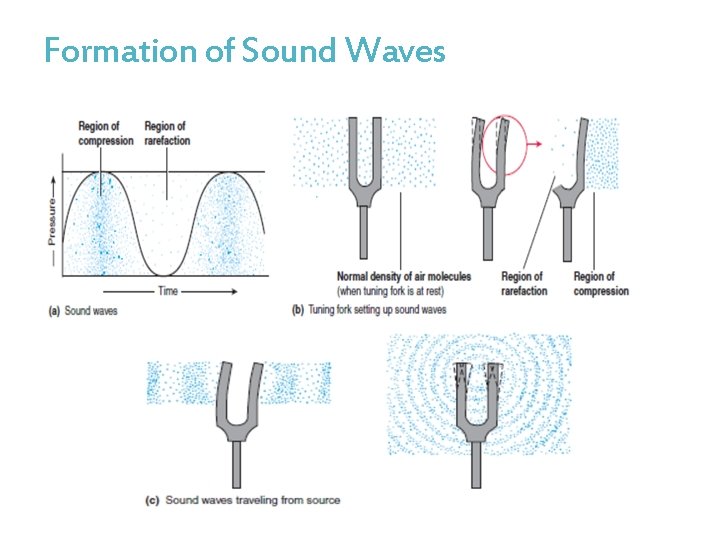 Formation of Sound Waves 