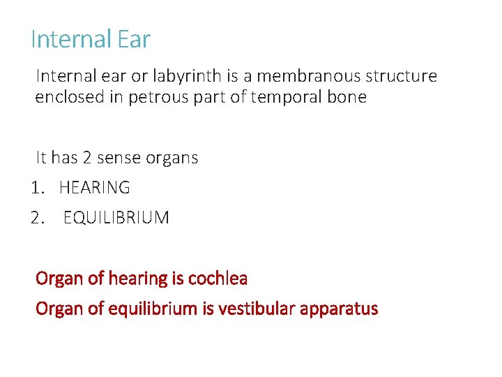Internal Ear Internal ear or labyrinth is a membranous structure enclosed in petrous part