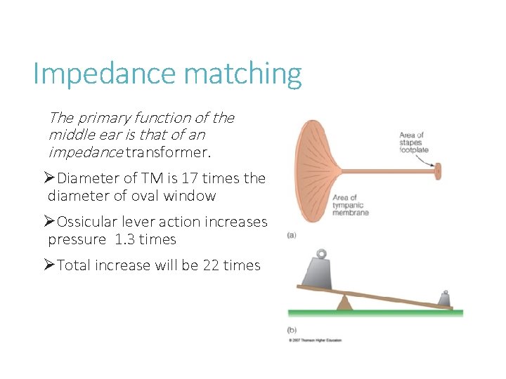 Impedance matching The primary function of the middle ear is that of an impedance