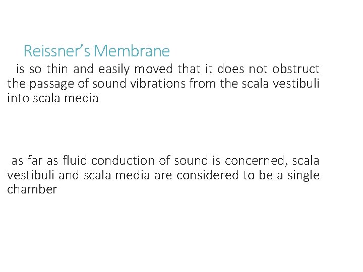  Reissner’s Membrane is so thin and easily moved that it does not obstruct
