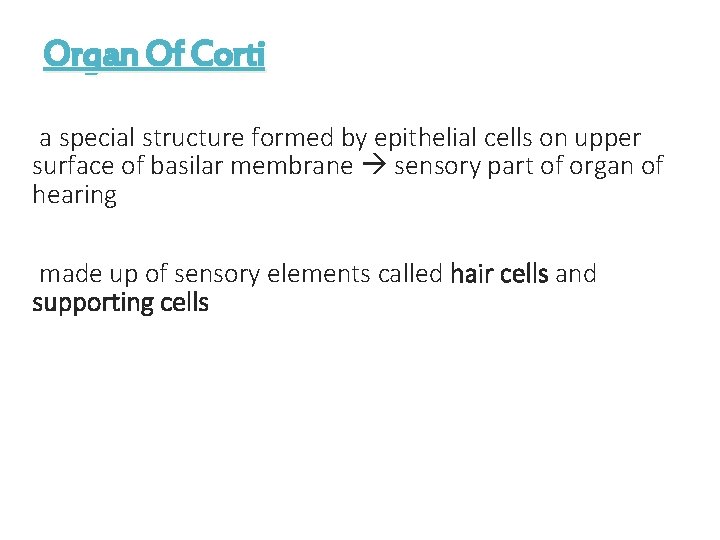 Organ Of Corti a special structure formed by epithelial cells on upper surface of