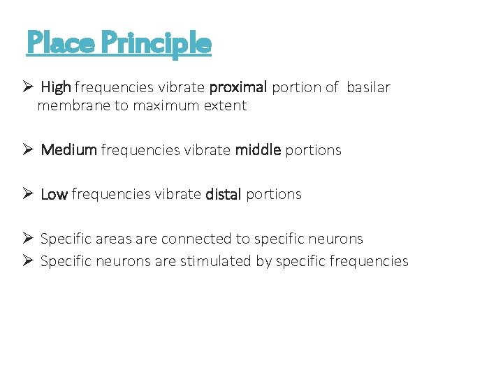 Place Principle Ø High frequencies vibrate proximal portion of basilar membrane to maximum extent