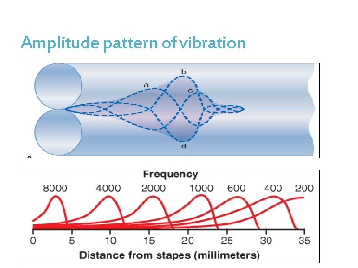 Amplitude pattern of vibration 