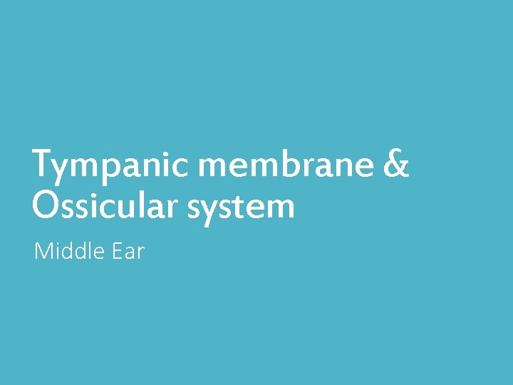 Tympanic membrane & Ossicular system Middle Ear 