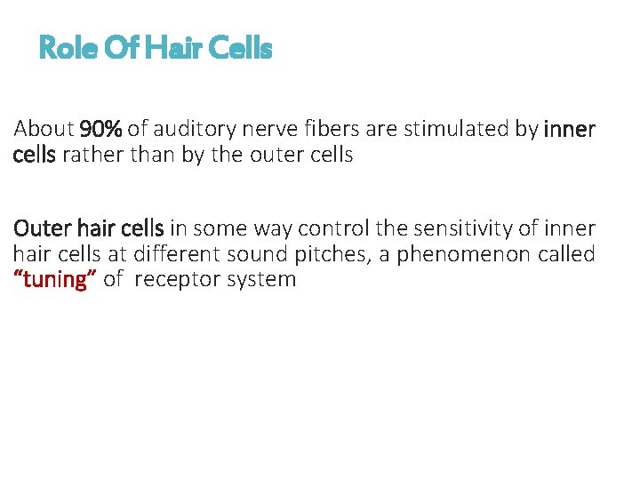 Role Of Hair Cells About 90% of auditory nerve fibers are stimulated by inner