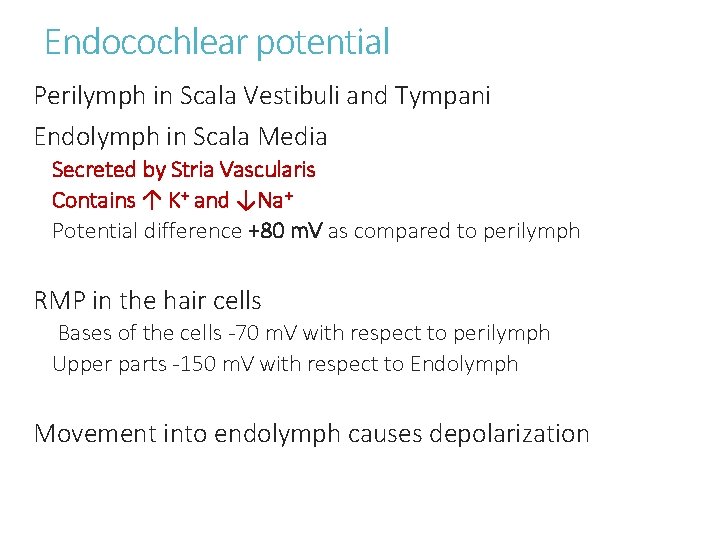 Endocochlear potential Perilymph in Scala Vestibuli and Tympani Endolymph in Scala Media Secreted by