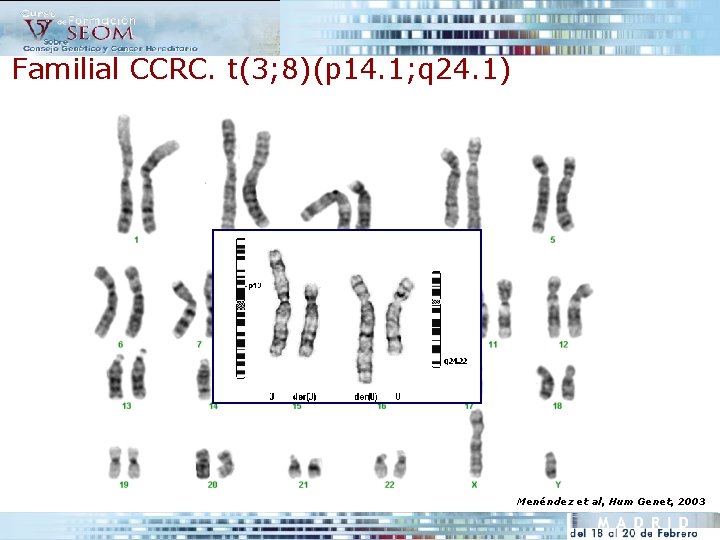Familial CCRC. t(3; 8)(p 14. 1; q 24. 1) Menéndez et al, Hum Genet,