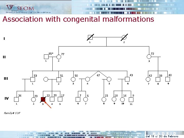 Association with congenital malformations I 1 85* II 2 53 26 1 Family# 53