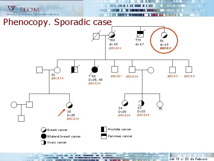 Phenocopy. Sporadic case † 80 dx 45 BRCA 1+ 61 BRCA 1+ † 58