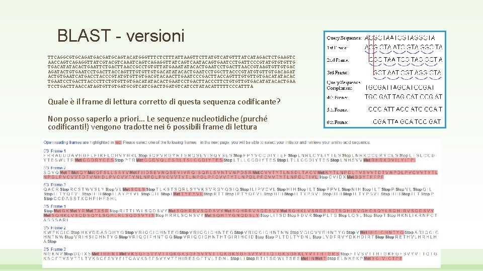 BLAST - versioni TTCAGGCGTGCAGATGACGATGCAGTACATGGGTTTCTCTTTATTAAGTTCTTATGTCATGTTTATCATAGACTCTGAAGTC AACCAGTCAGAGGTTATCGTACGTCAAATCAGAGGTTATCAGTCAATACAGTGAATCCTGATTCCCGTATGTGTGTTG TGACATATACACTGAATTCTGACTTAACCGCCTGTGTTATGAAATATACACTGAATCCTGACTTAACCGTAAGTGTTGTGAC AGATACTGTGAATCCTGACTTACCAGTTTGTGACATATACACTGAATCCTGGCTTACCCGTATGTGTTGTGACAGAT ACTGTGAATCATGACCTACCCGTATGTGTTGTGACGTACAACTTGAATCCCGACTTACCAGTTTGTGACATATACAC TGAATCCTGACTTACCCTTCTGTGTTGTGACATATACACTGAA TCCTGACTTAACCATAGTGTTGTGATGCGTCATCGACTSGATGTCATCCTATACATTTTTCCCATTTA Quale è il frame