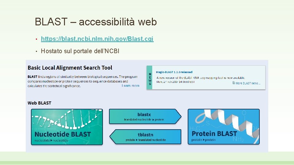 BLAST – accessibilità web • https: //blast. ncbi. nlm. nih. gov/Blast. cgi • Hostato