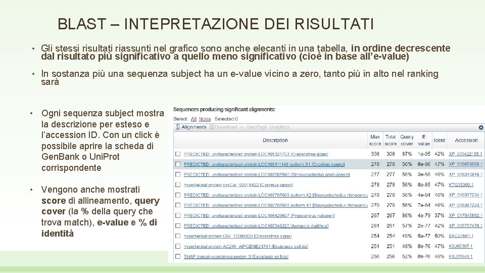 BLAST – INTEPRETAZIONE DEI RISULTATI • Gli stessi risultati riassunti nel grafico sono anche