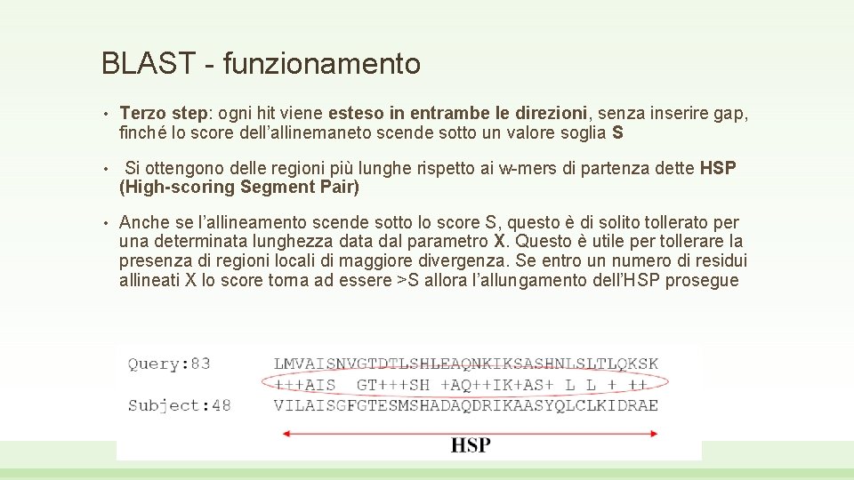 BLAST - funzionamento • Terzo step: ogni hit viene esteso in entrambe le direzioni,