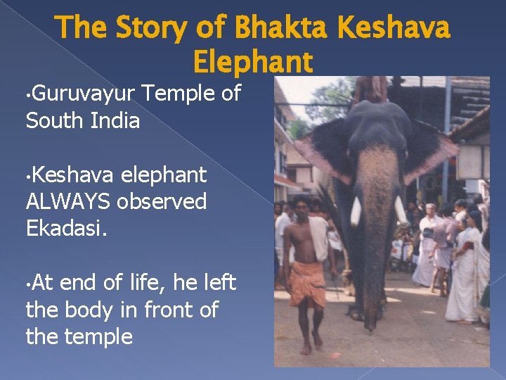 The Story of Bhakta Keshava Elephant • Guruvayur South India Temple of • Keshava