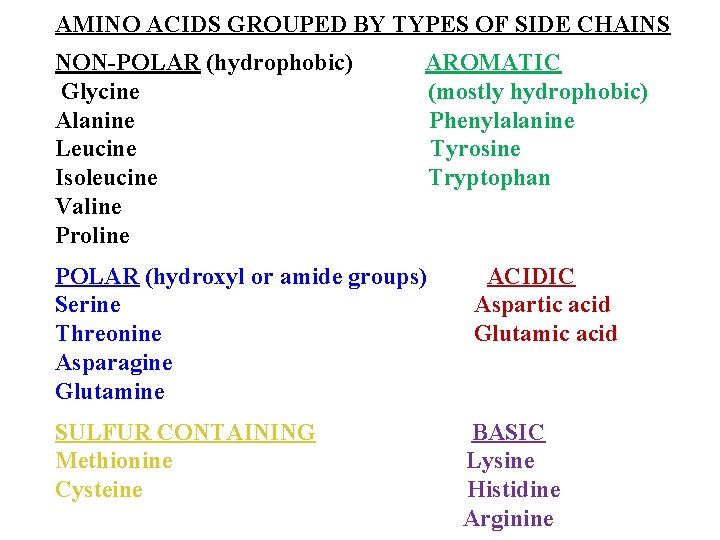 AMINO ACIDS GROUPED BY TYPES OF SIDE CHAINS NON-POLAR (hydrophobic) Glycine Alanine Leucine Isoleucine