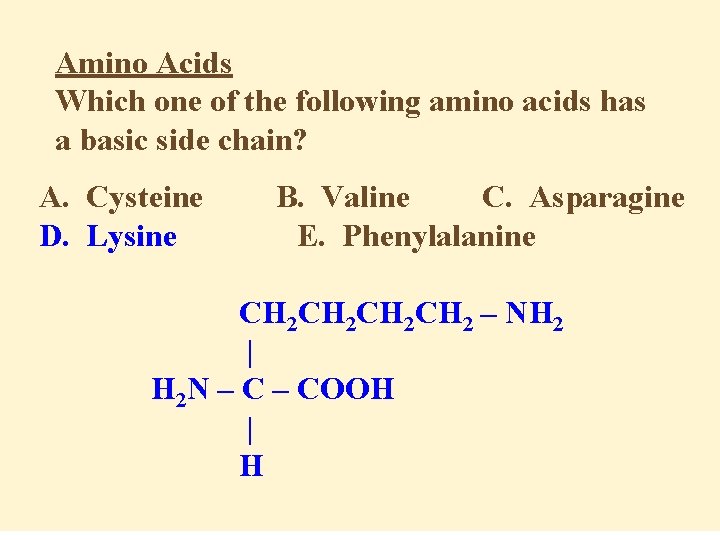 Amino Acids Which one of the following amino acids has a basic side chain?