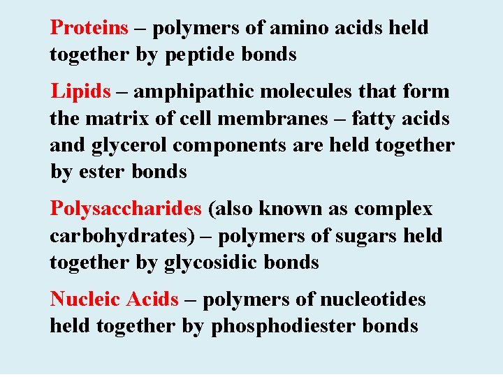 Proteins – polymers of amino acids held together by peptide bonds Lipids – amphipathic