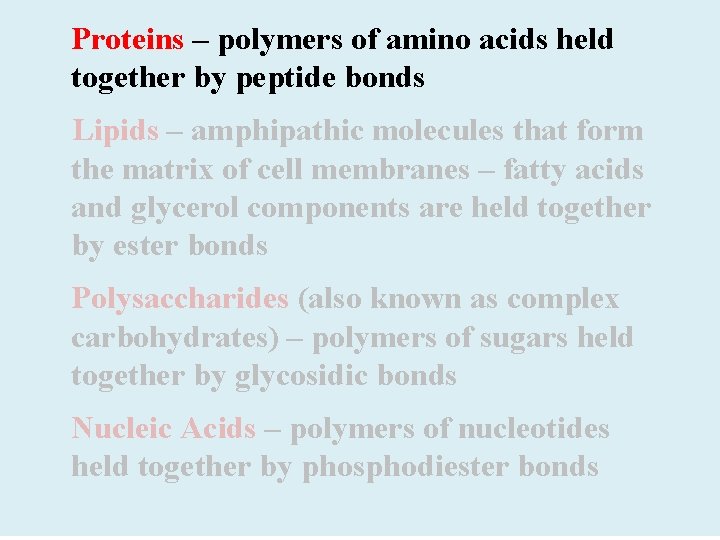 Proteins – polymers of amino acids held together by peptide bonds Lipids – amphipathic