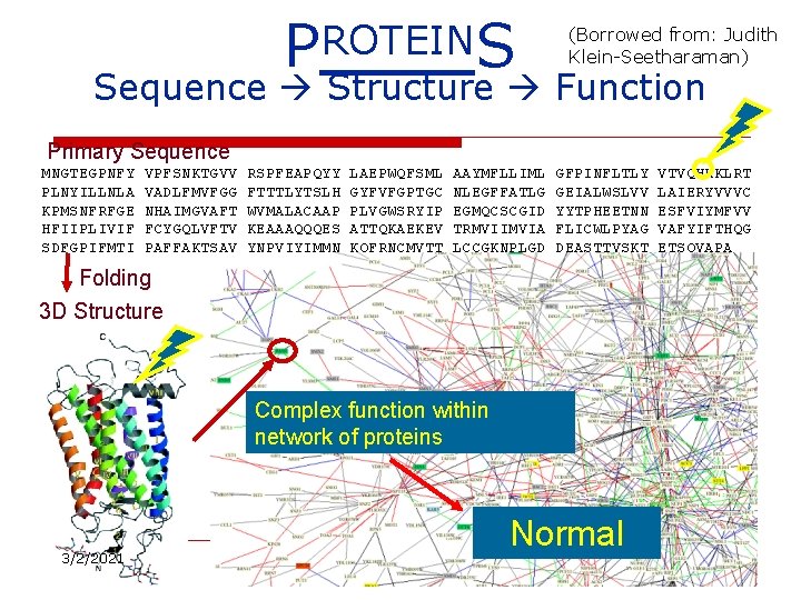 PROTEINS (Borrowed from: Judith Klein-Seetharaman) Sequence Structure Function Primary Sequence MNGTEGPNFY PLNYILLNLA KPMSNFRFGE HFIIPLIVIF