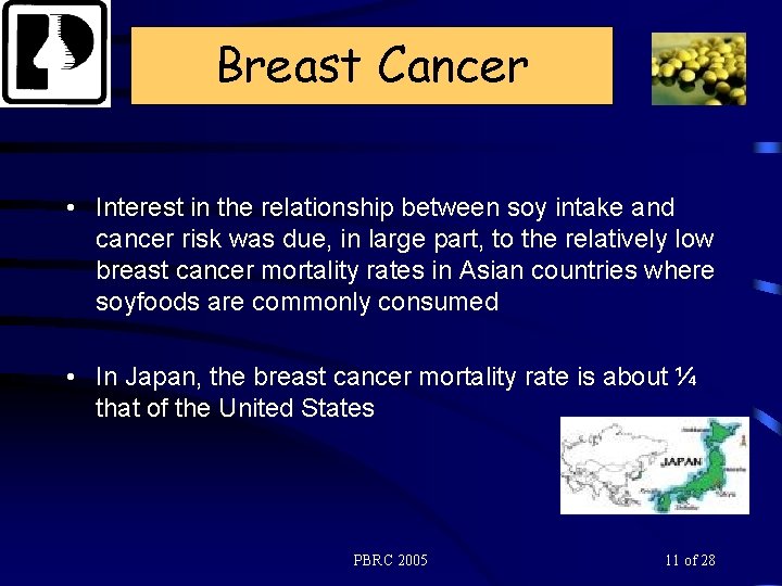 Breast Cancer • Interest in the relationship between soy intake and cancer risk was